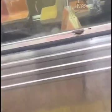 Another Person Shot On The New York Subway