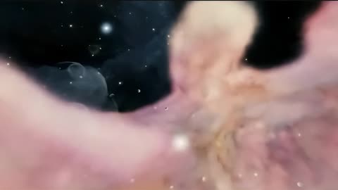 Tribute to Carl Sagan HD 