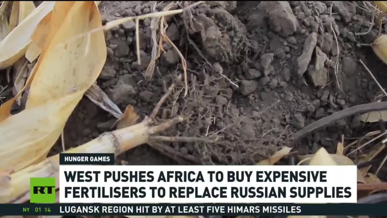 Hunger Games: The West Forces Africa To Buy Expensive Fertilizer To Replace Russian Supplies