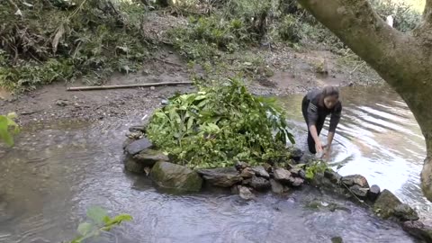 Hunting wild fish | Use Primitive Traps to catch fish in the river | Primitive Fishing Technique