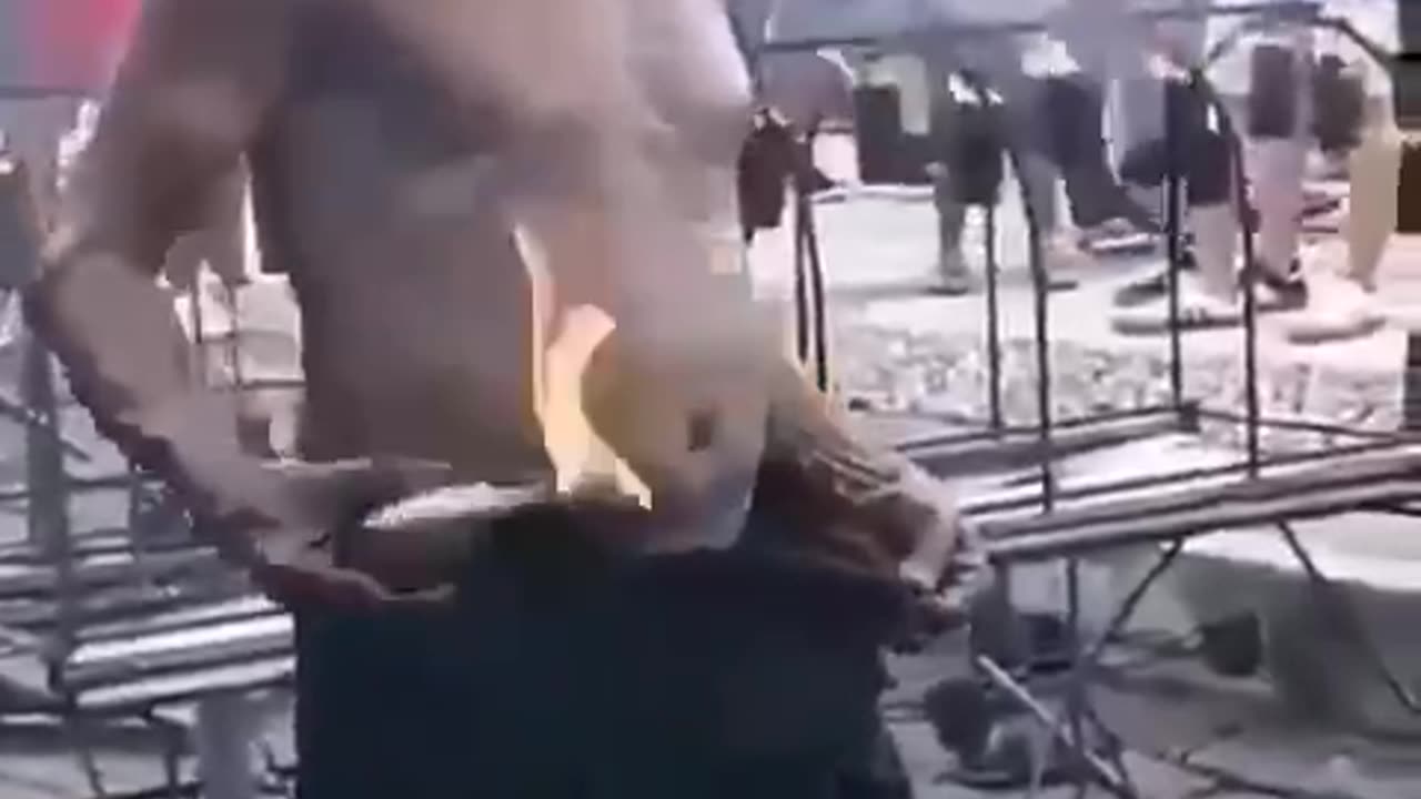 Don't try this at home.🤪