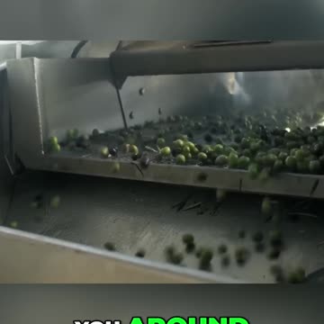 Exposed: The Dark World of Olive Oil Fraud!