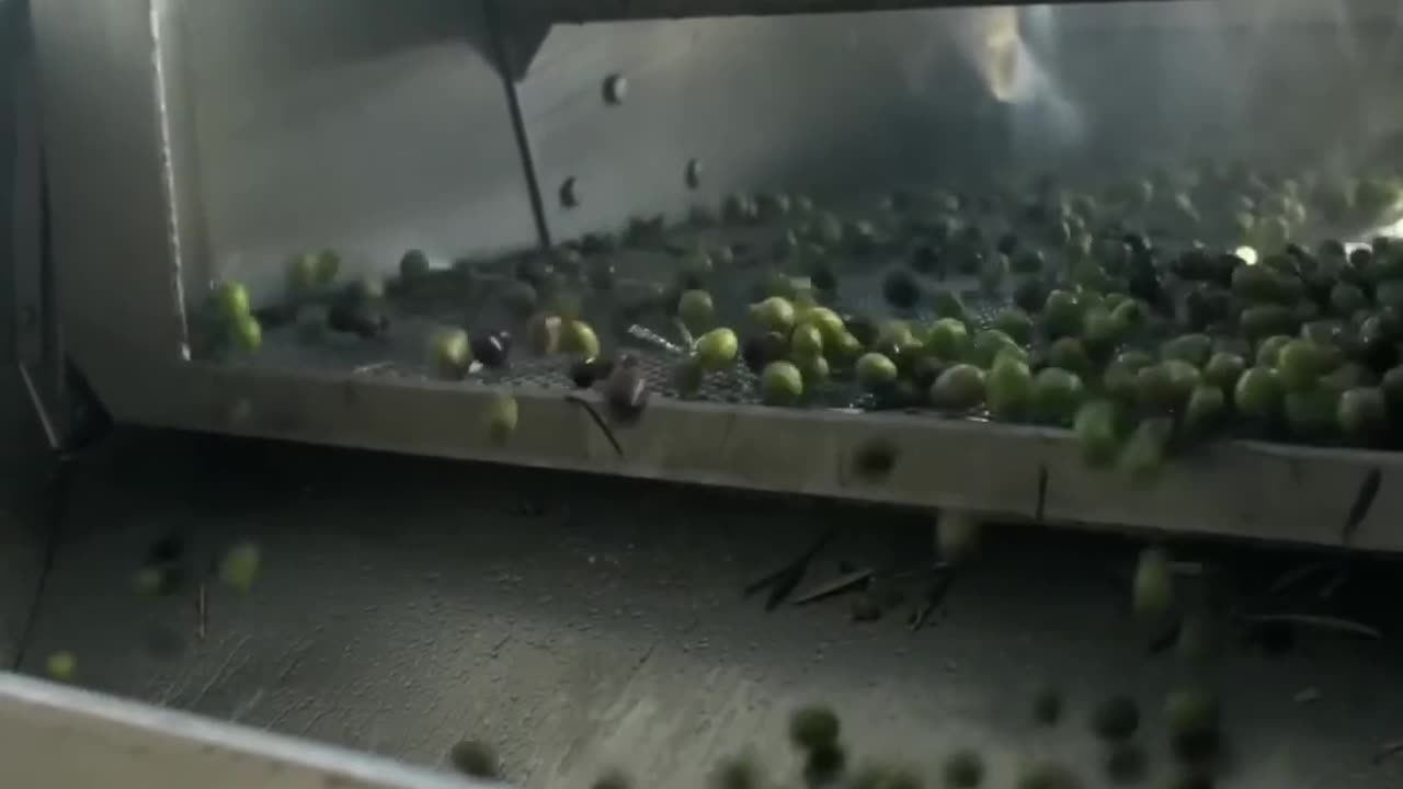 Exposed: The Dark World of Olive Oil Fraud!