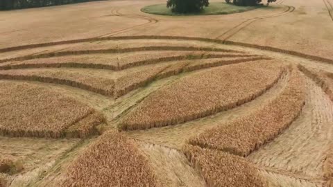 Crop Circle - Eastleigh Court, Bishopstrow, Wiltshire, England - 18 June 2023