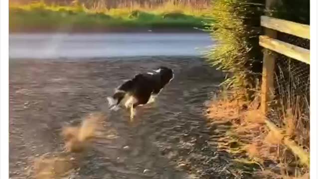 Living the good life❤️