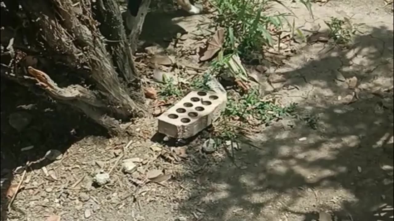 5-10