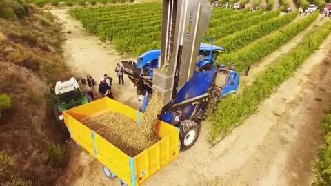 Awesome Almond Cultivation Technology - Almond Farming and Harvest - Almond processing in factory