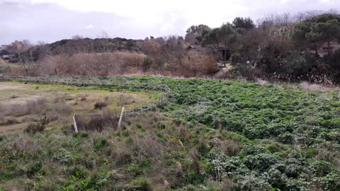 Fantastic view of nature from the Roman Bridge's side