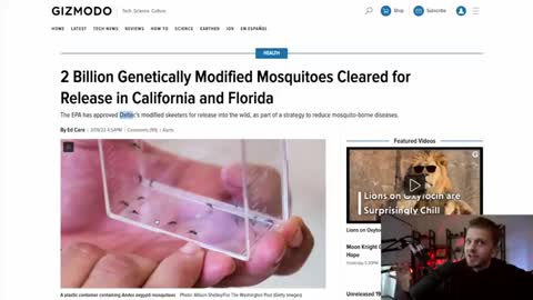 World Health Organization Says MOSQUITOES Will Cause Next Pandemic! (+ Link to Gates & Biolabs??)