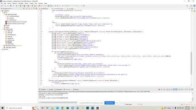 Example 5 video