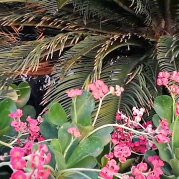 Transform Your Mood: How Relaxing This is Volume 71