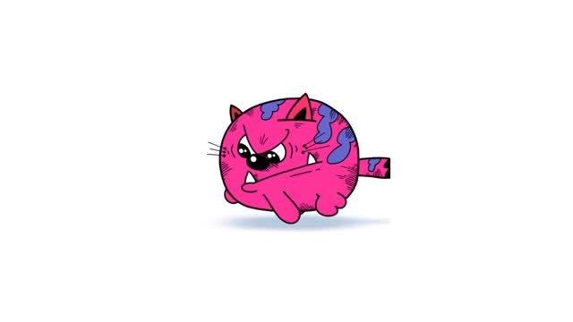 funny cat