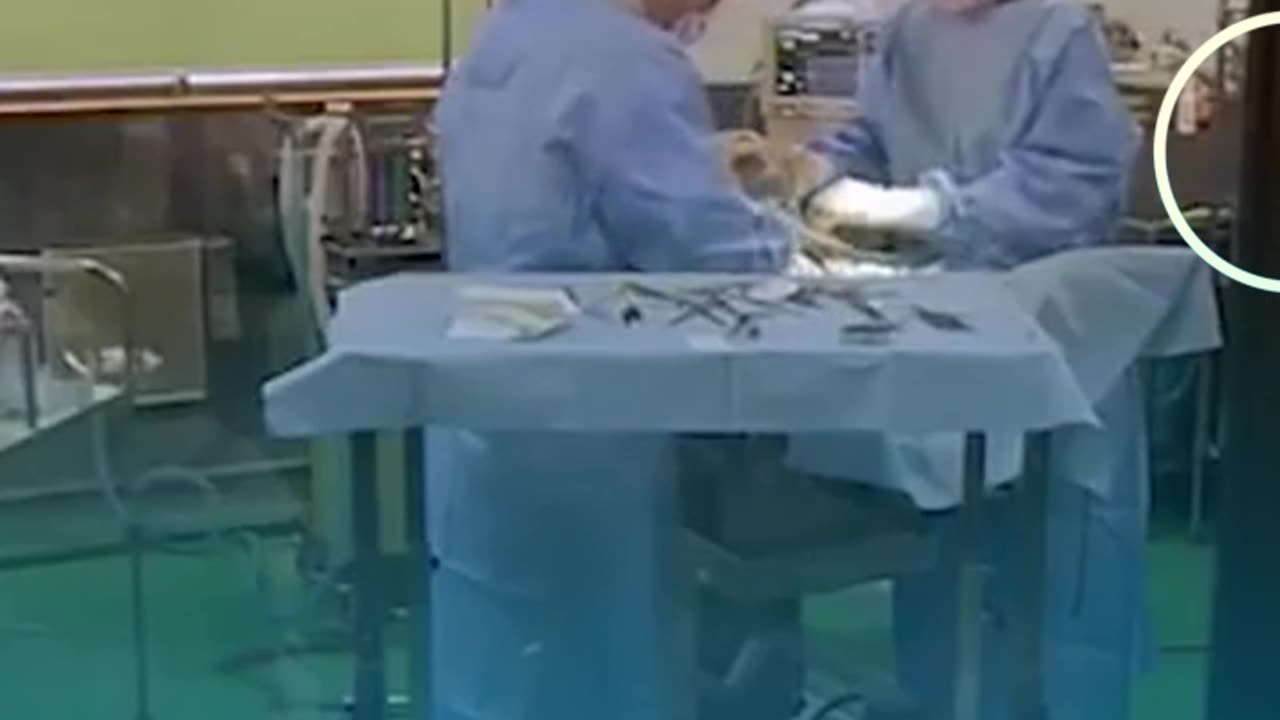 human pig hybrid