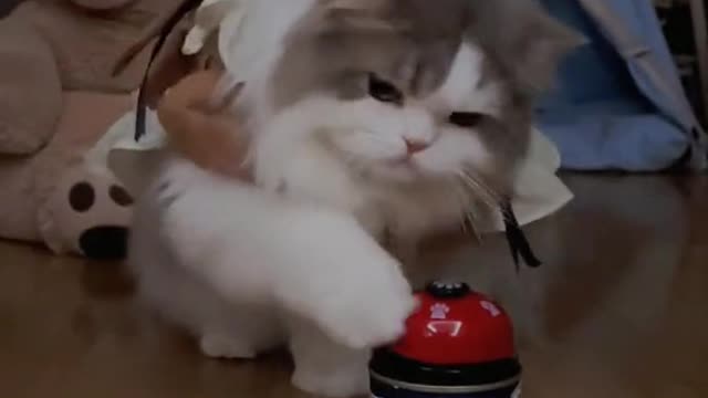 Wow!Socute,myheartissoftenedbyit.