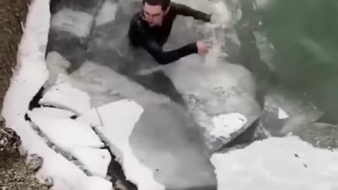 The end🤣🤣🤣#funny#viral#shorts#laughcatlogs#fails