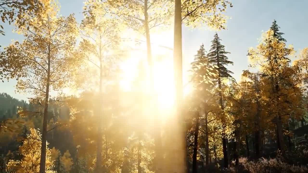 Hours of Amazing Nature Scenery