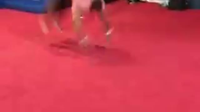 Man Performs Multiple Backflips