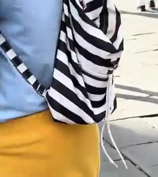 Checkout the afghan dog wearing a scarf