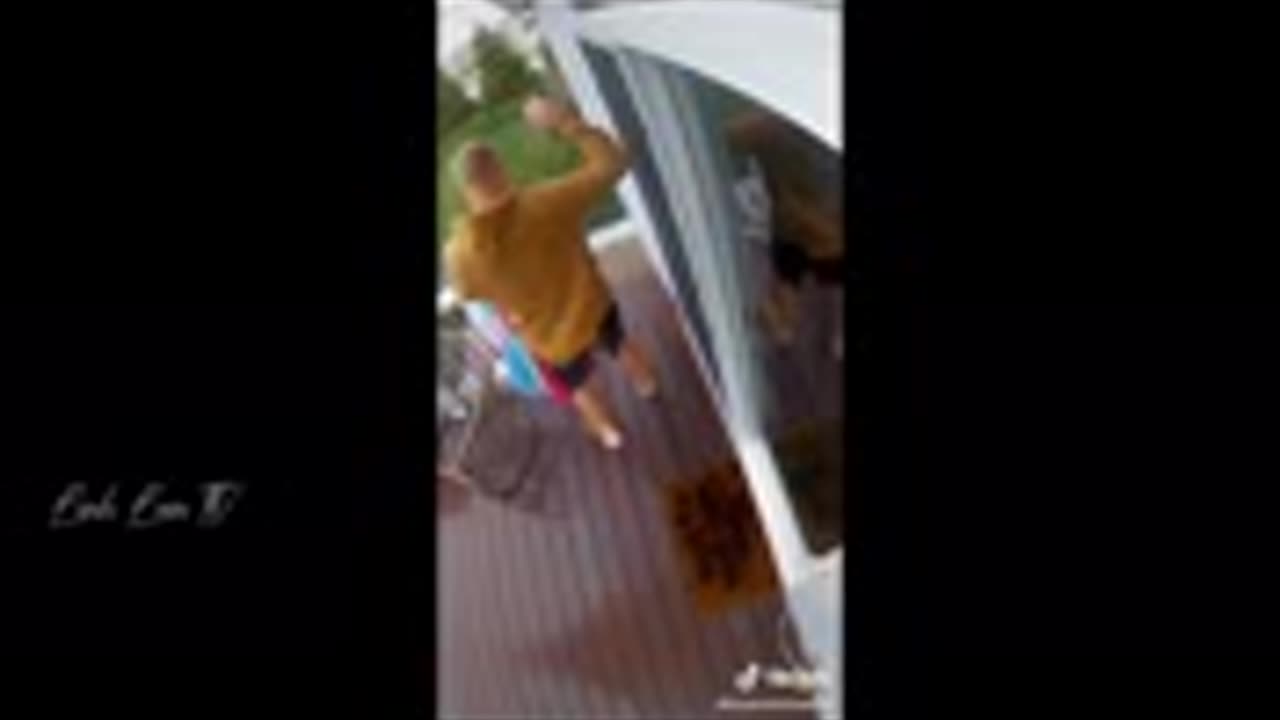 funny moment with animals
