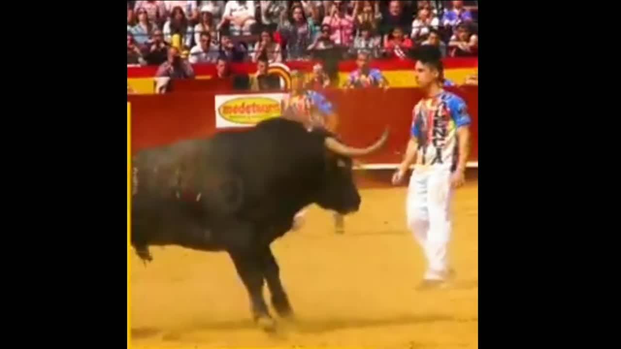 Best Bull Fight technique |full bullfighting in Spain very dangerous