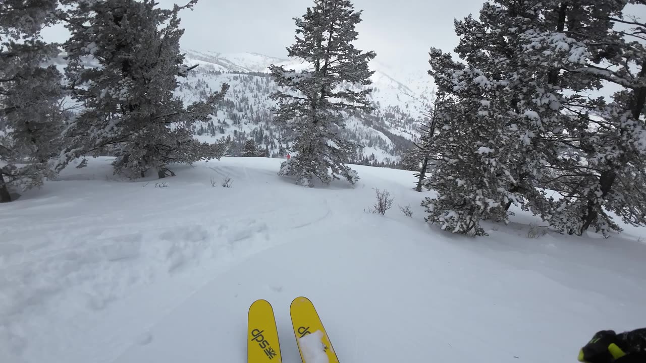 3/25 #8 last run down raintree