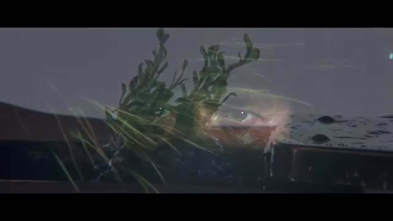 Beach House - Levitation