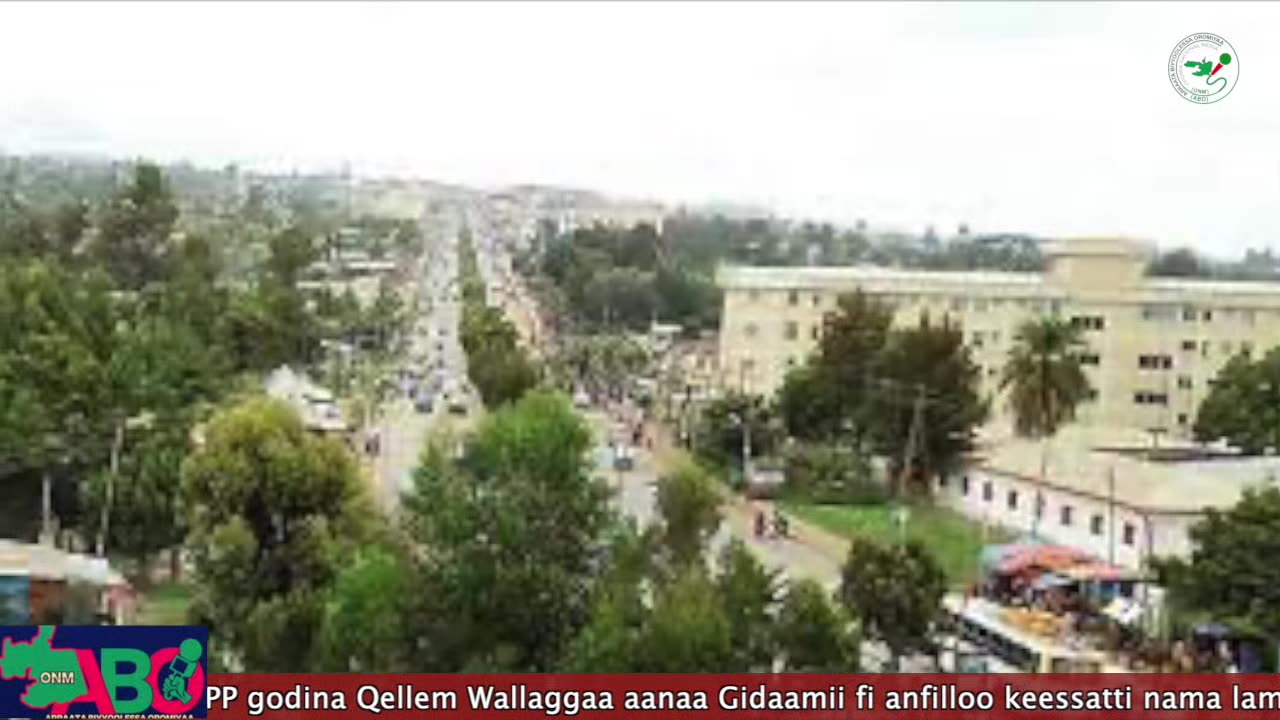 Oduu Waaree ONM-ABO Muddee 1, 2023