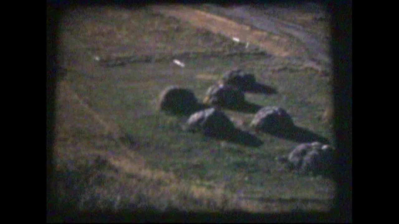 The Ray Burtz Ranch, Oct. 3, 1954