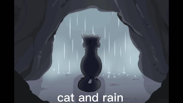 Ambience rain cat