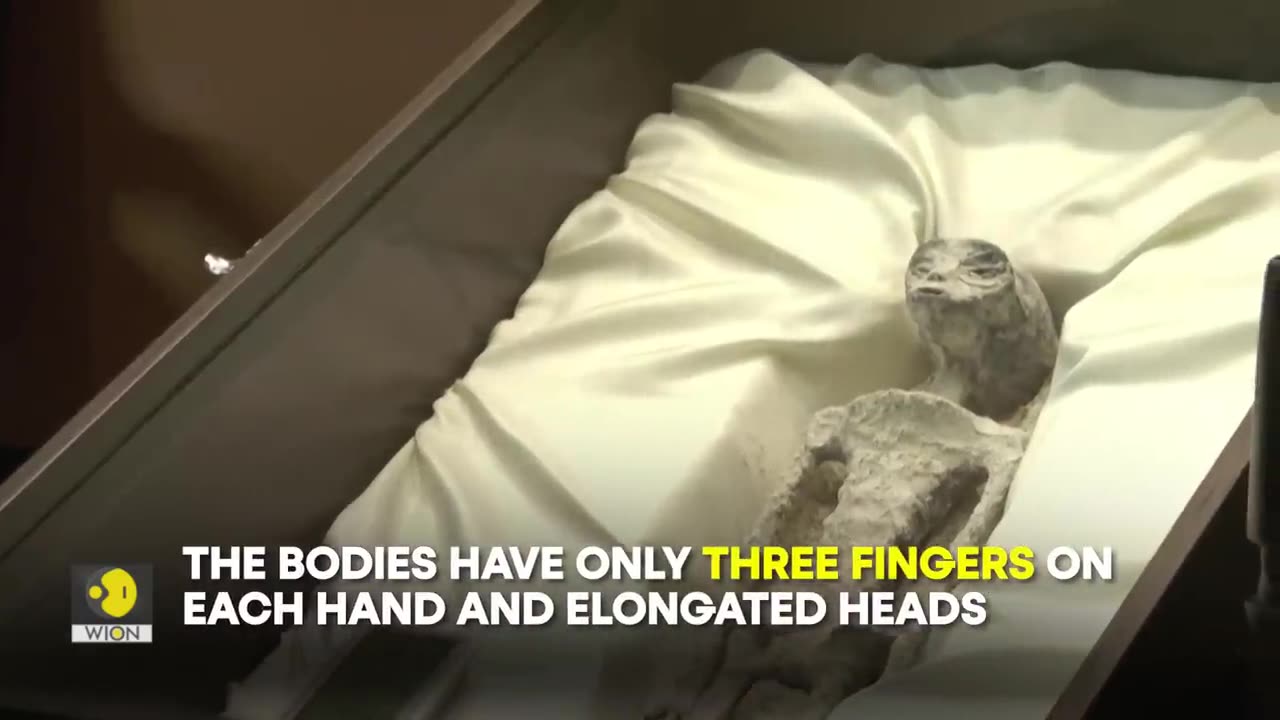 Alien Bodies presented at public session in the Mexican Congress