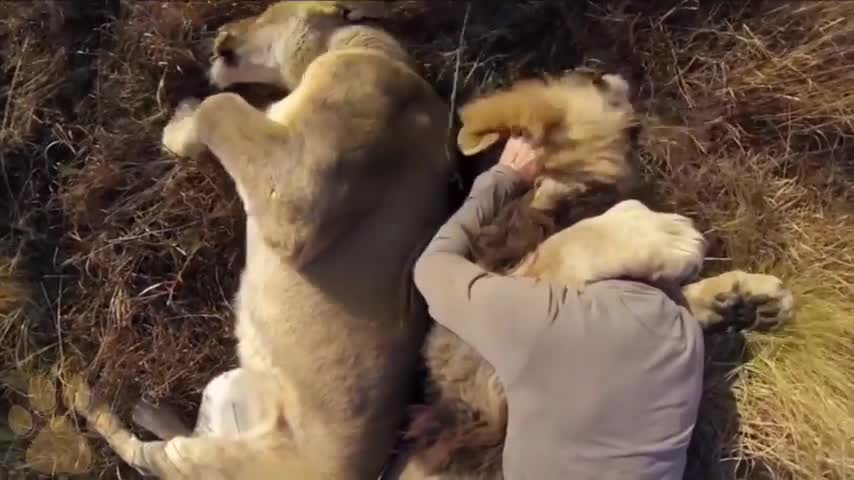 Animals that do not froget their Owner after years