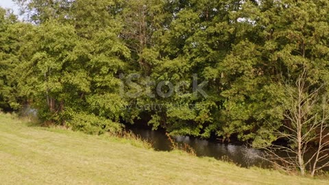 Low drone flight over the edge of a meadow where there is a small river.