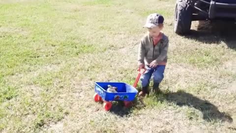 Babies love playing with pets