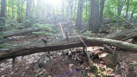 🚶 Hiking & Walking Pink Lake #Trails In Gatineau Park, Quebec, Canada. 🍁