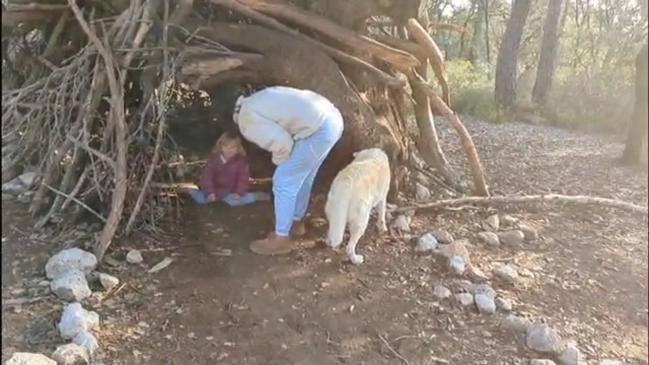 2023-02-18 (1) - préhistoire - Twitch Triskelina