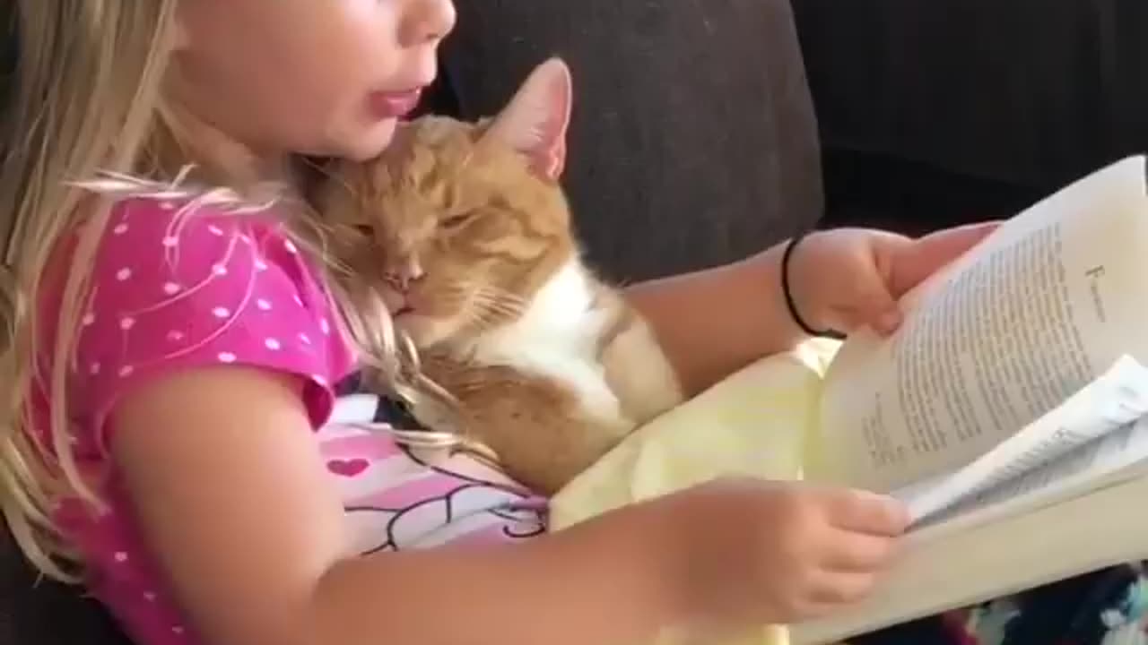 CUTE VIDEO of little girl reading to her CAT!!!!