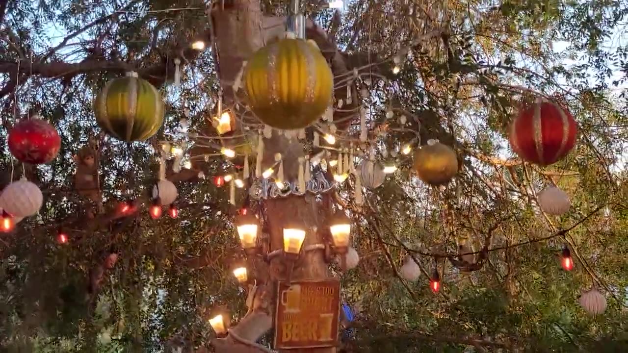 KYLE TRUMP ĐA TÀI CỦA GIA ĐÌNH ANH EM CÁNH HỮU