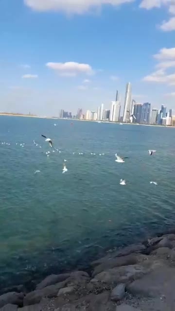 Of the most beautiful landscapes, birds and the sea