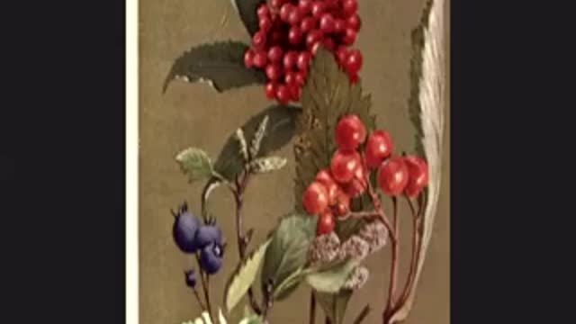 Interview 11 Dr Courtney Weber on Raspberry Breeding