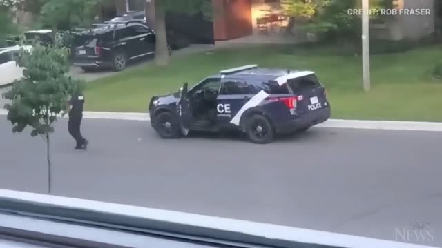 WATCH: Wild turkey faces off against Canadian police officer