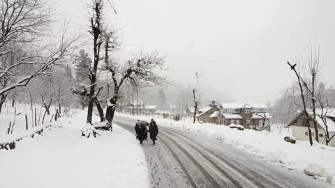 A Group of People Walking on a Snow Covered Road