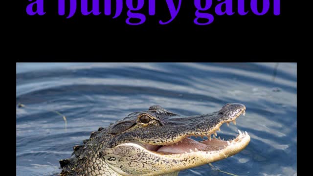 Alligator snatches a Drone