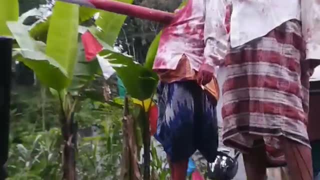 Horrible! Someone Got Stabbed By A Bamboo At The Wonosobo Ropoh Kepil Carnival