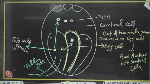 Lec 8 Reproduction in flowering plants Lakshya Neet 2022 NEETJEE - OFFICIAL pw