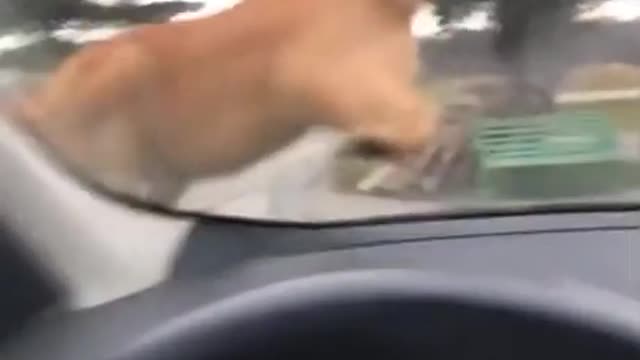 Funny