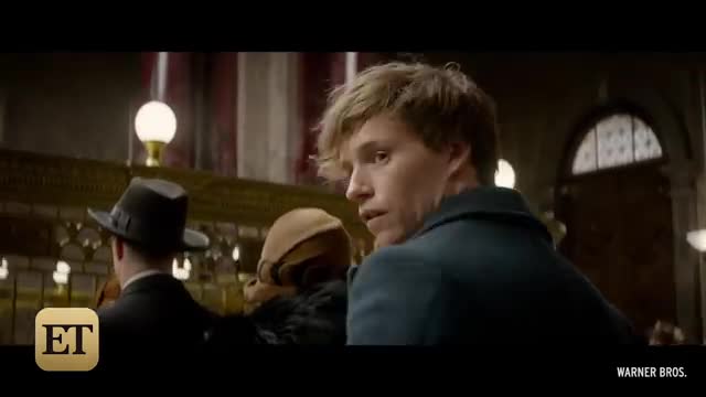 The Wizarding World Invades New York in New 'Fantastic Beasts and Where to Find Them' Trailer