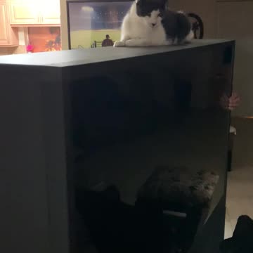 October 18, 2020. Leo and dad.