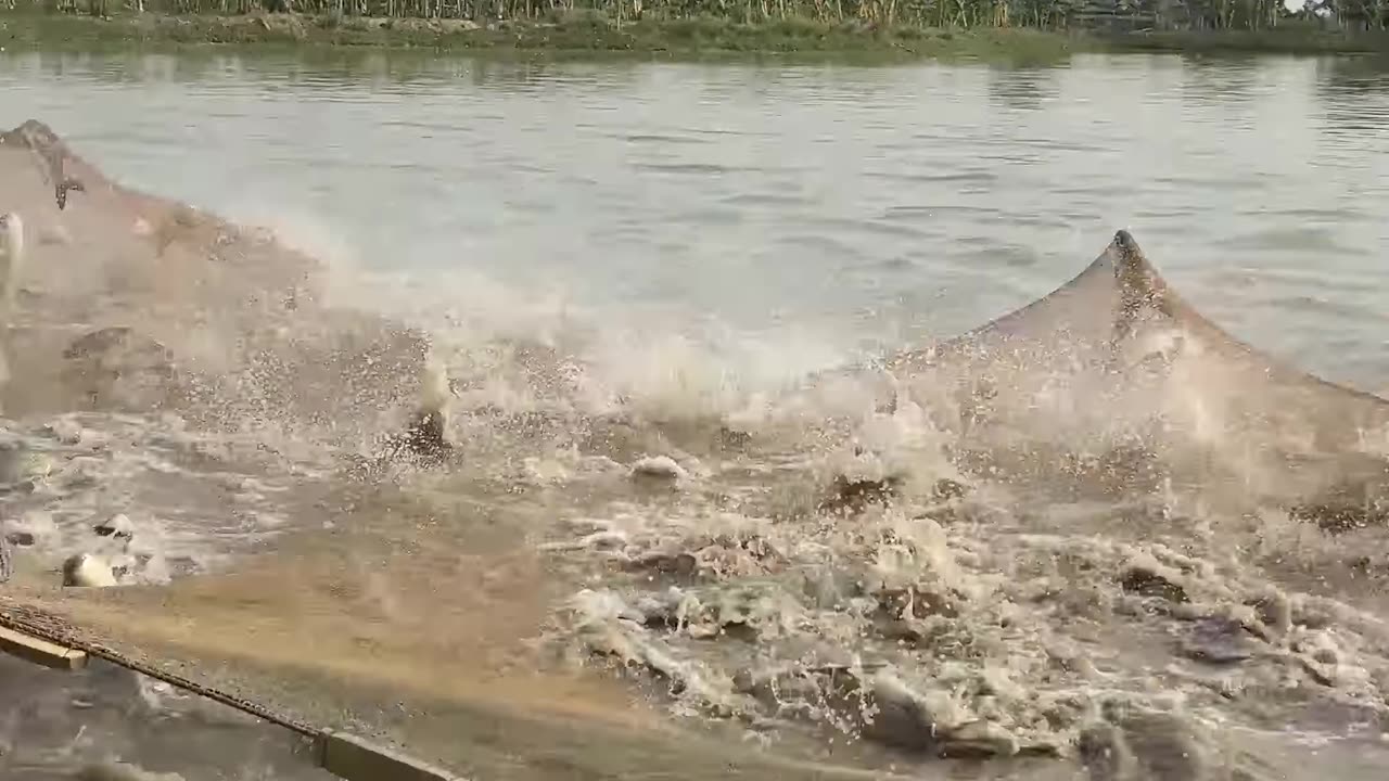 JUMPING FISH