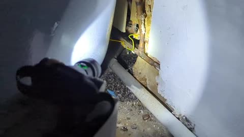 2023-04-28 (6) - Le rat - Twitch Decheterie (clip)