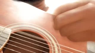 Fevereiro - Scracho